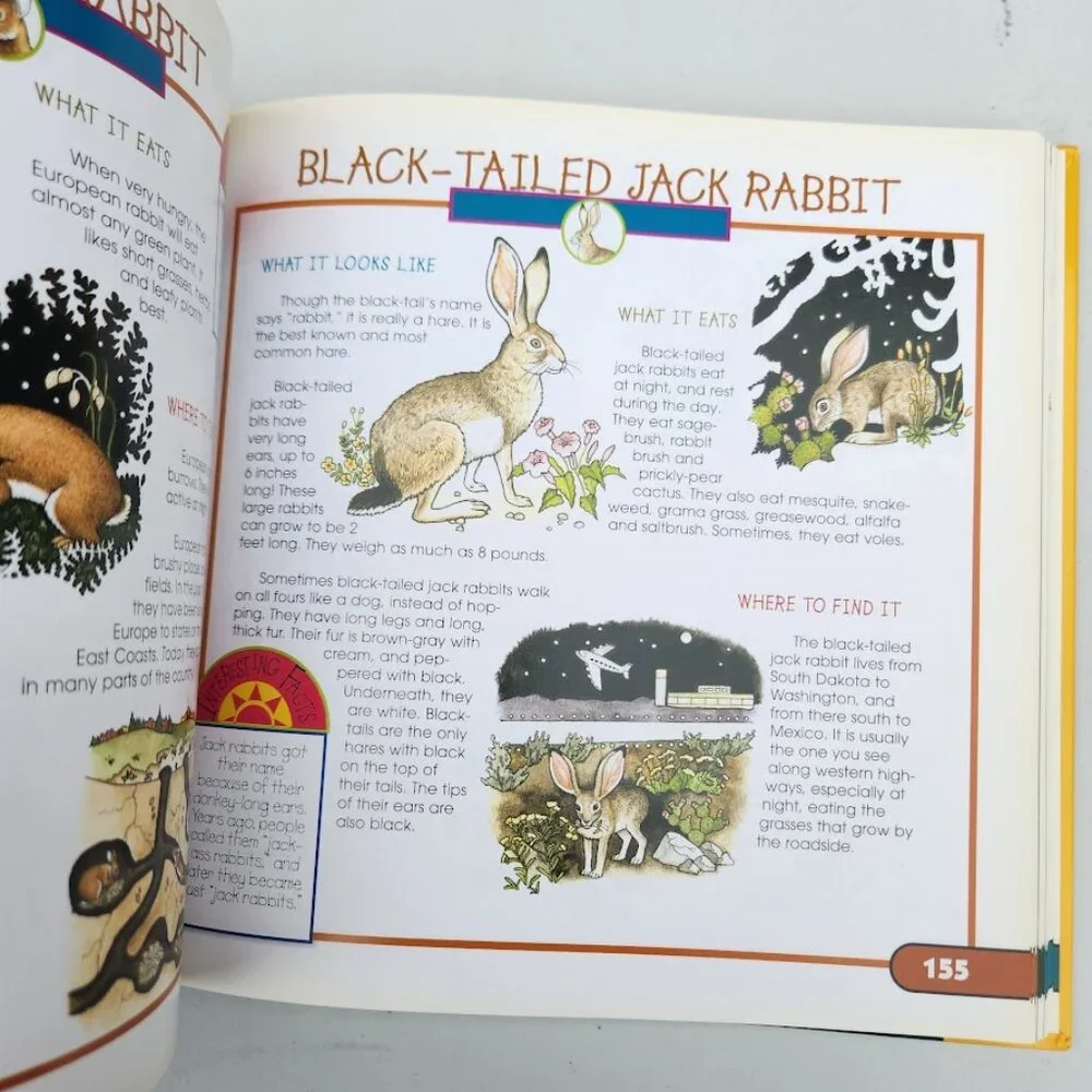 More Fun With Nature Take Along Guides Field Guide Hardcover Book Activity Craft